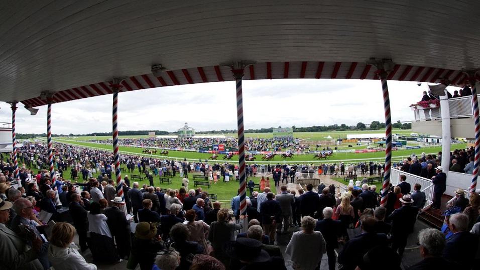The view from the stand at York racecourse